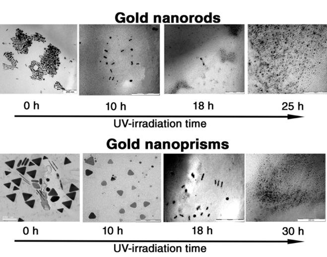 Degradação de nanobastões (acima) e nanoprismas (abaixo) em função do tempo devido à exposição à radiação UV de baixa potência.