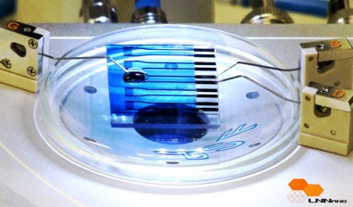 Biossensor portátil e de baixo custo foi desenvolvido por pesquisadores do Laboratório Nacional de Nanotecnologia com apoio da FAPESP (foto: Divulgação)