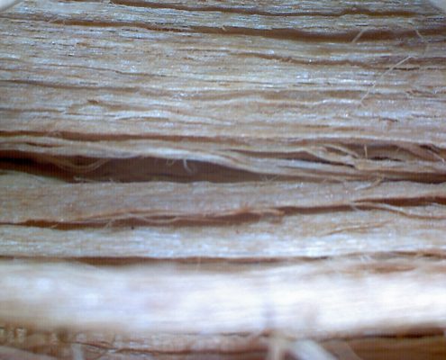 fibra de celulose