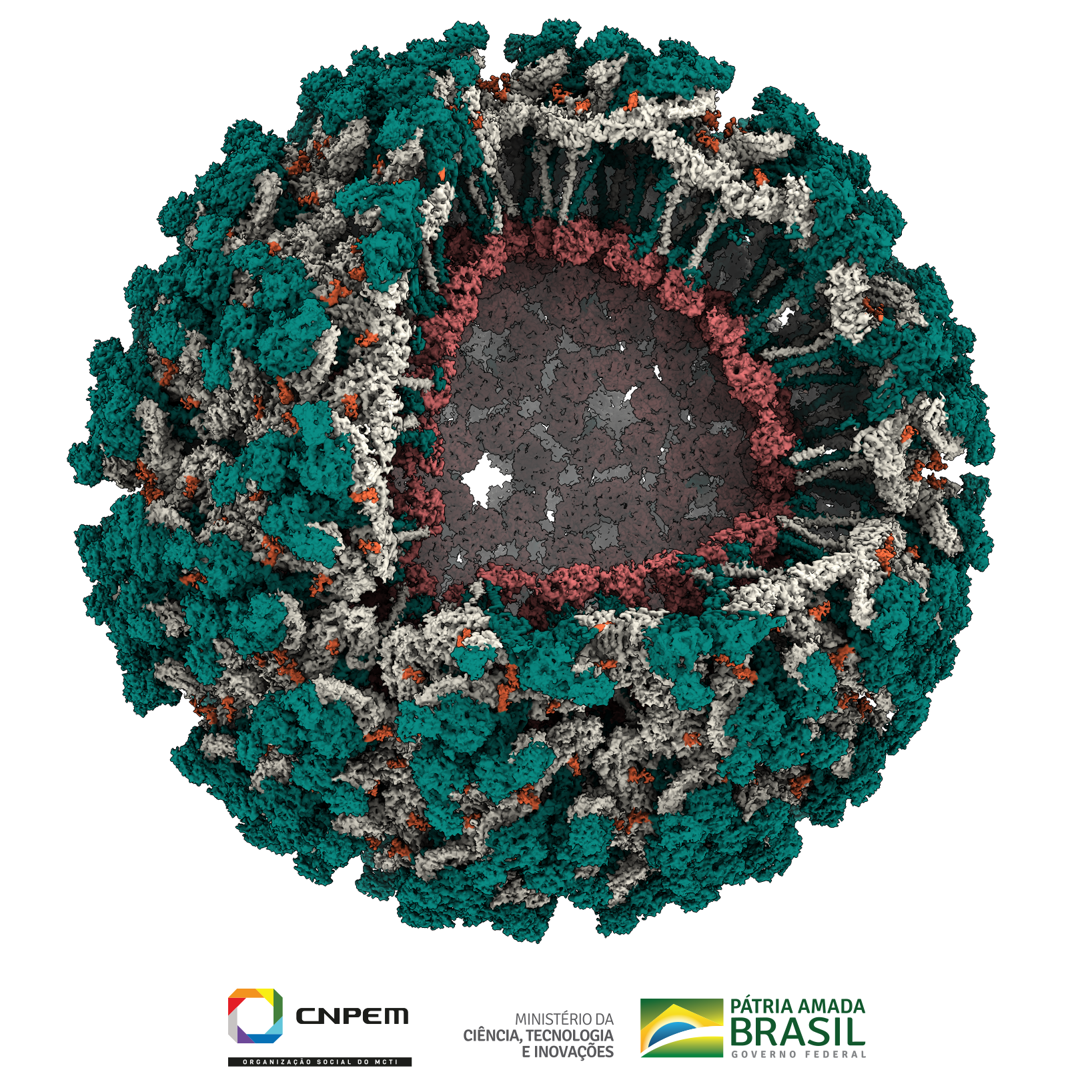 fig_cnpem1_com-logos