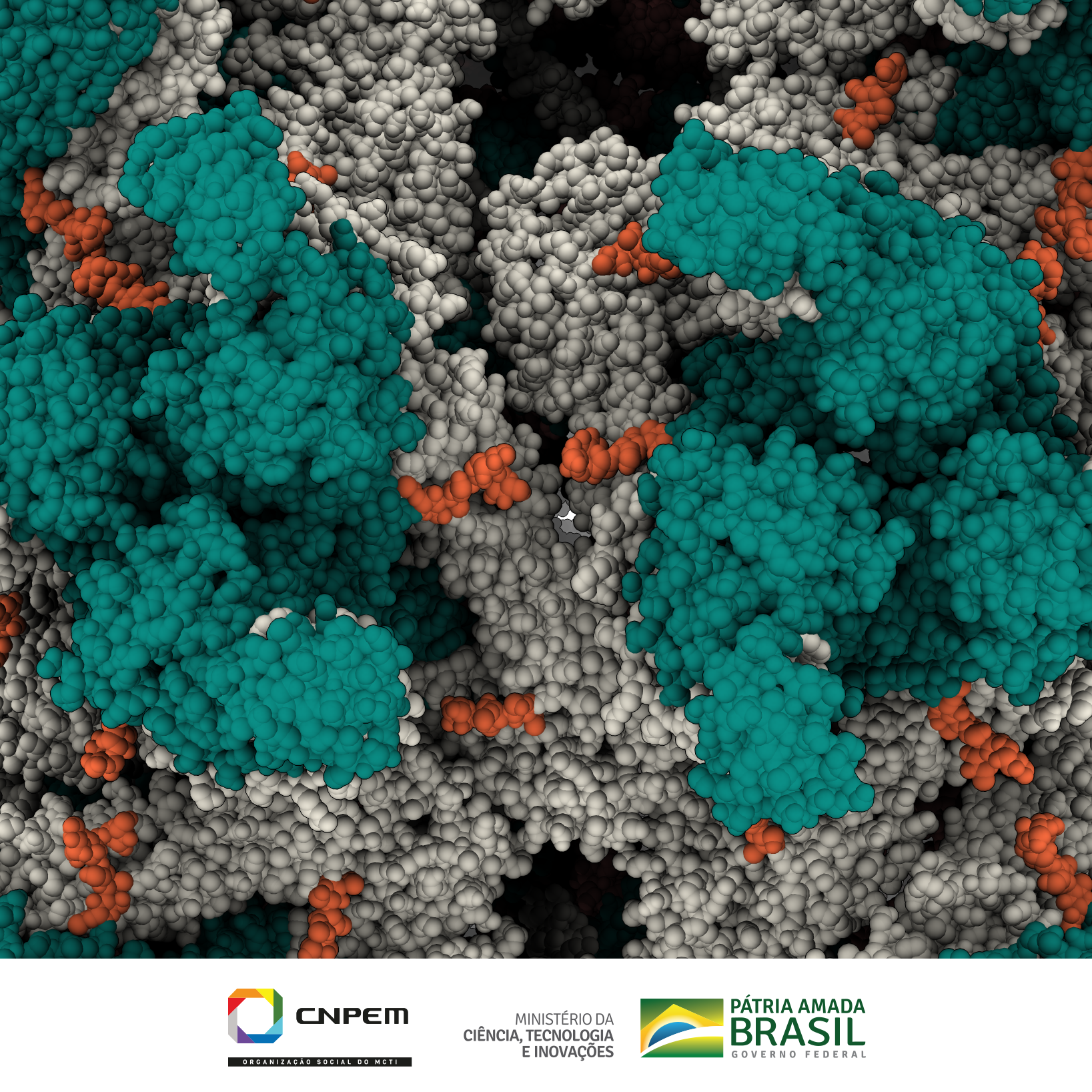 fig_cnpem7_com-logos