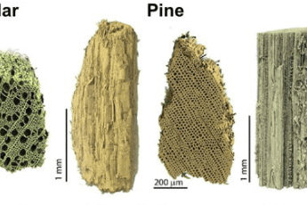 Captura de tela 2023-04-26 140814
