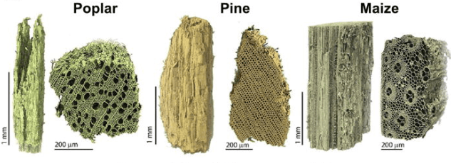 Captura de tela 2023-04-26 140814