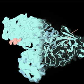Mapa de criomicroscopia