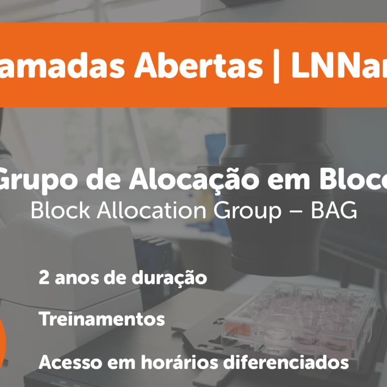 Grupo de Alocação em Blocos (BAG)_Brevo