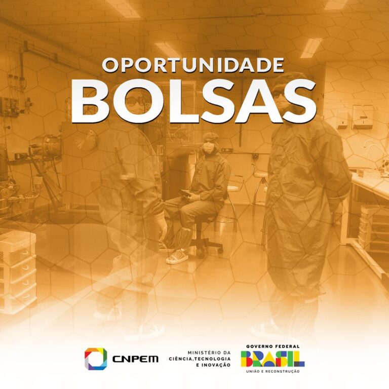 bolsas lnnano