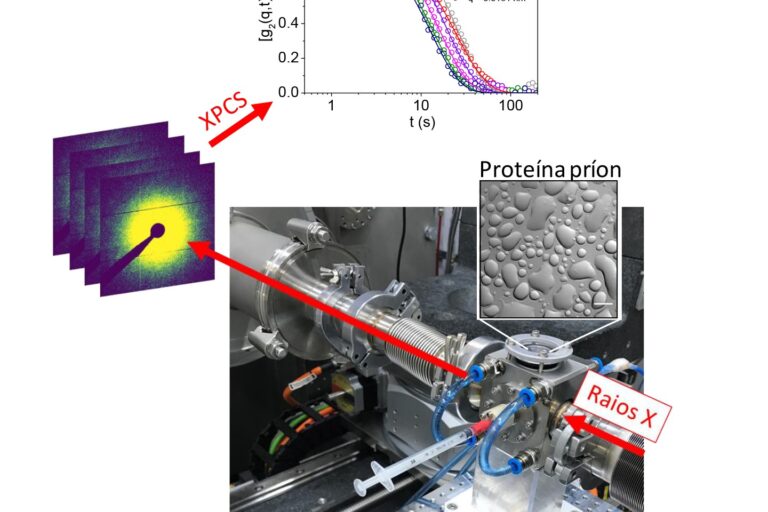 prions-xpcs-caterete