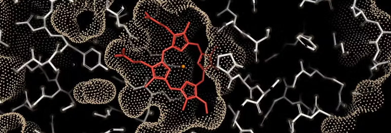 Enzima Nobel Mario Leticia Zanphorlin