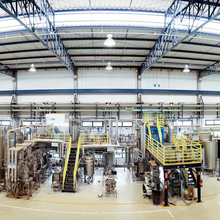 panoramica deb planta piloto copiar