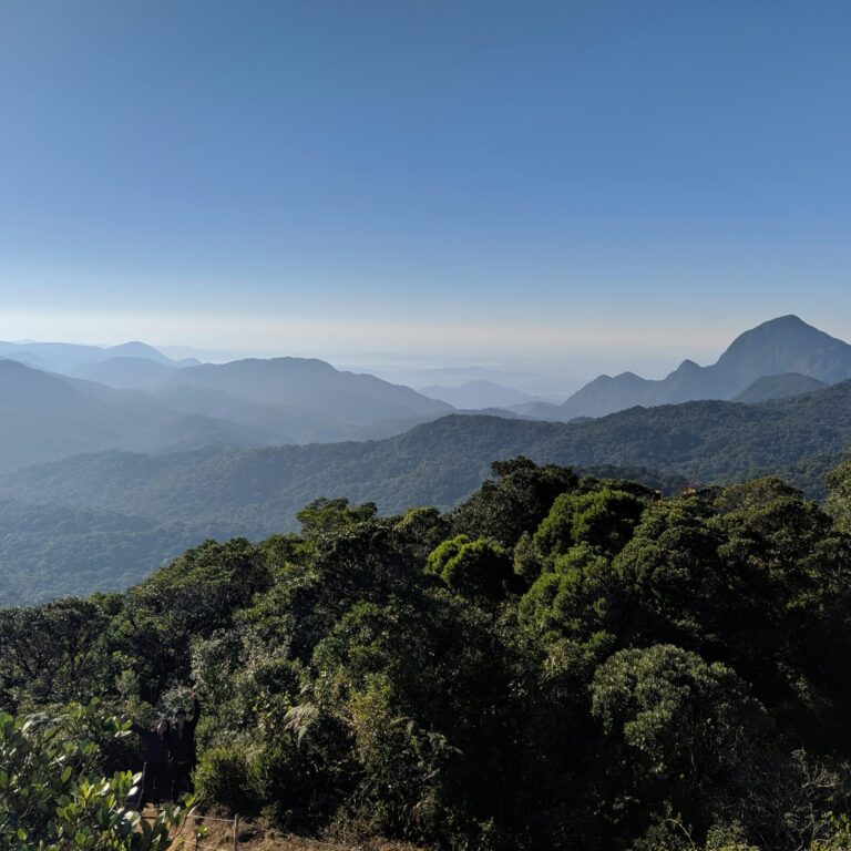 vinicius-bustamante–orMxi3Ob7c-unsplash