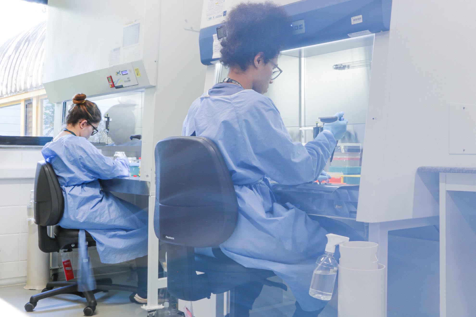 Laboratorio_Vetores_Virais_LNBio