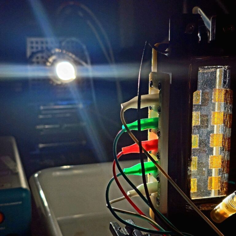 WhatsApp Image 2025-09-11 at 2.23.09 PM