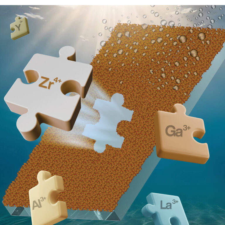 aamick.2025.17.issue-48.xlargecover-5